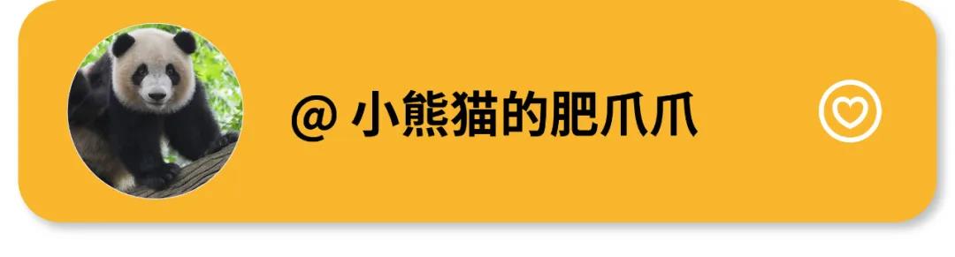 游子心事：記憶中最美的家鄉(xiāng)味